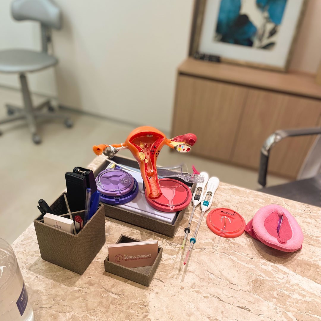 Mesa do consultório com modelo anatômico e métodos contraceptivos